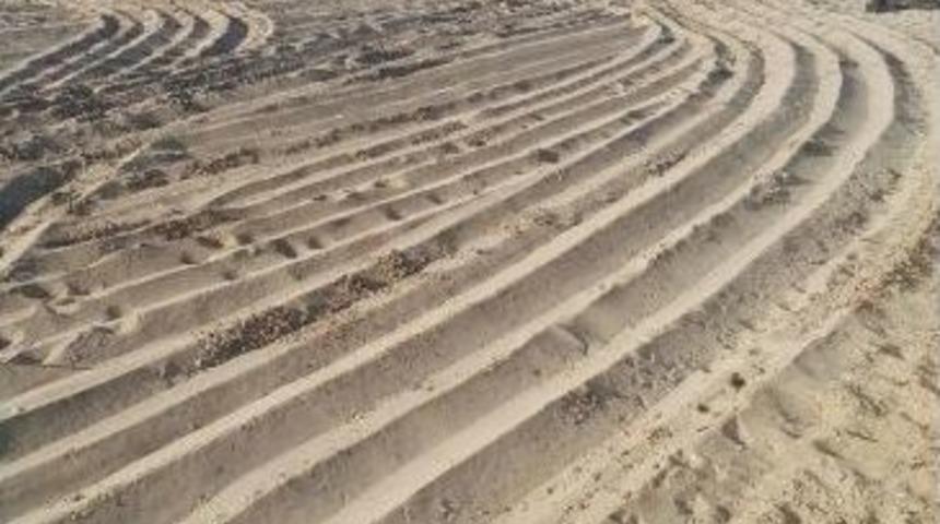 Didim Yaz Sezonuna Hazırlanıyor