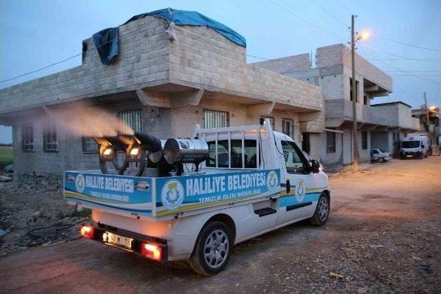 Haliliye Belediyesi, İlaçlama Çalışmalarını Hız Kesmeden Sürdürüyor