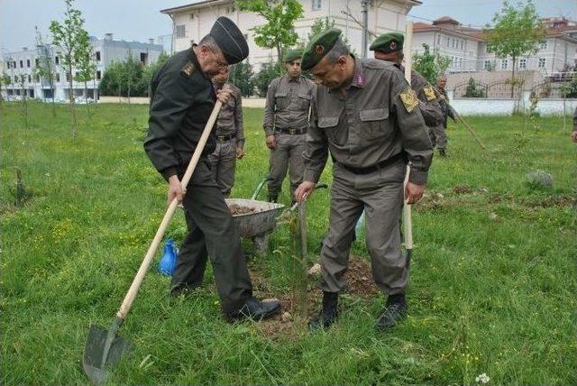 Jandarma Ekipleri Şehitlerin Anısına Fidan Dikti 1