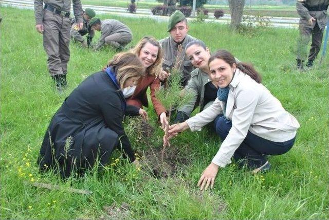 Jandarma Ekipleri Şehitlerin Anısına Fidan Dikti 2