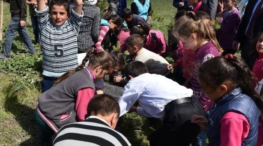 Her K&ouml;ye Bir Orman Bin Derde Derman