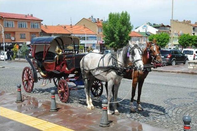 Akşehir’de Fayton Seferleri Hizmete Başladı