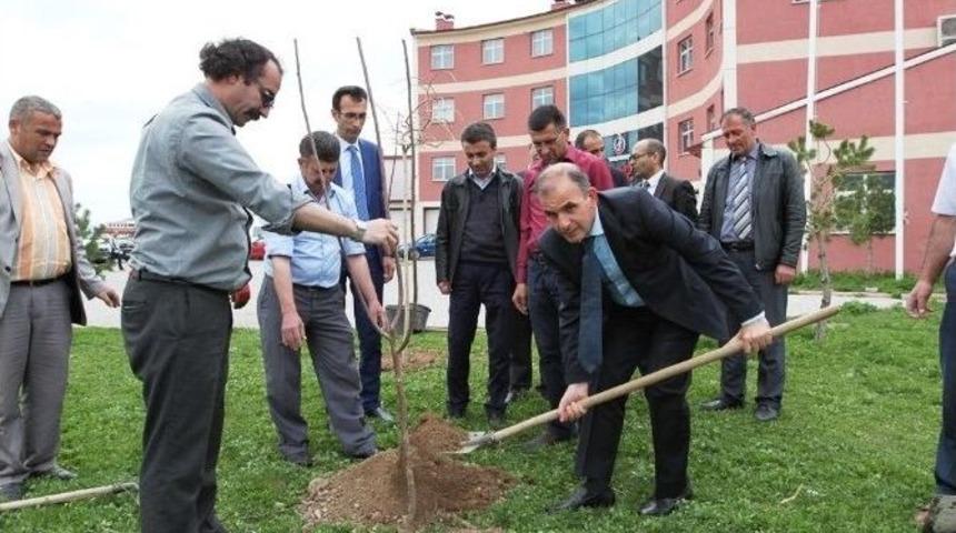 112 Acil Komuta Merkezi Yeşillendirildi