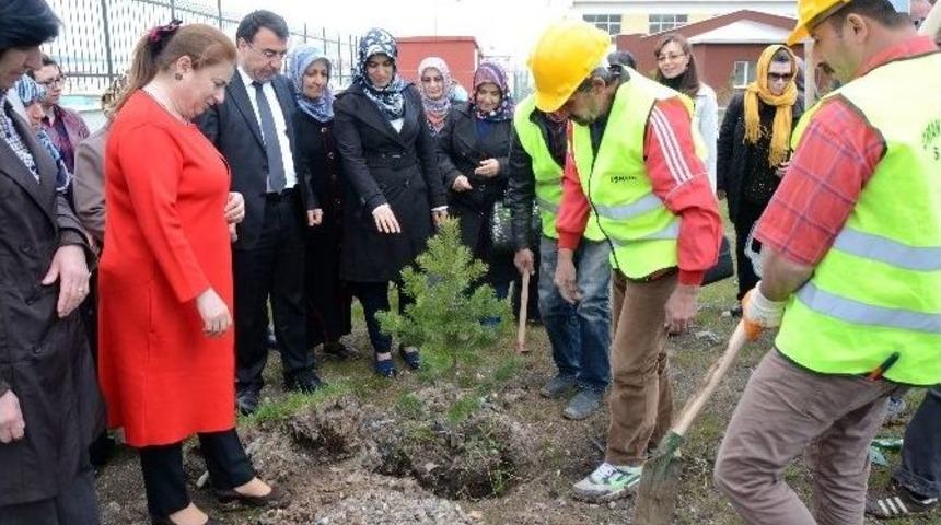 Sarıkamış’ta Ak Kadınlar Fidan Dikti
