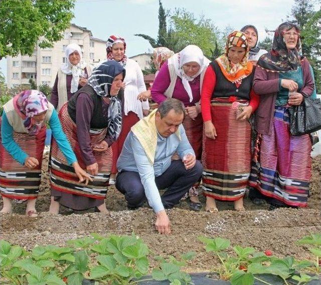 Giresun Belediyesi’nden ‘üreten Giresun, Üreten Türkiye’ Kampanyası