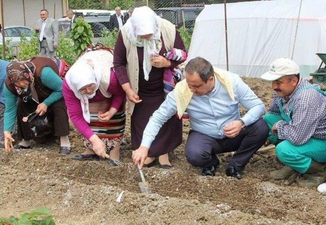 Giresun Belediyesi’nden ‘üreten Giresun, Üreten Türkiye’ Kampanyası