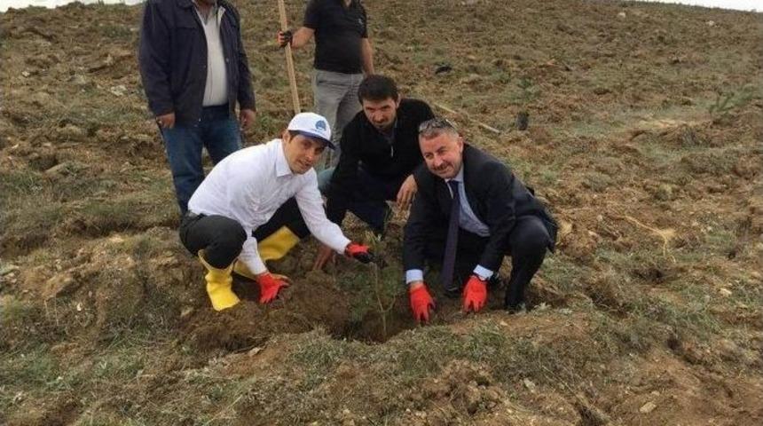 G&ouml;lova&rsquo;ada &rsquo;habip Soluk Hatıra Ormanı&rsquo; Oluşturuldu