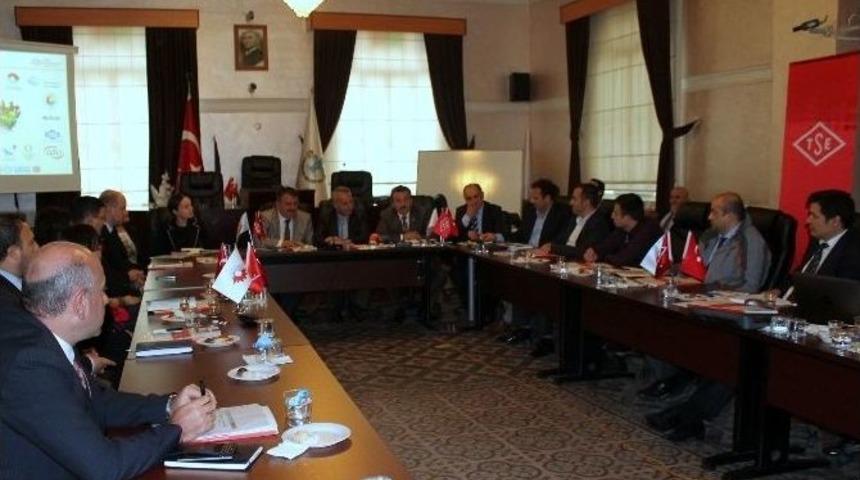 Oto Test Merkezi &Ccedil;alışmaları Hızlandı