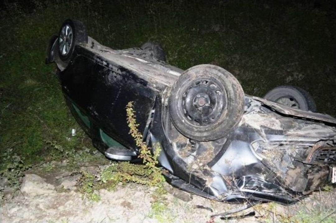 Otomobil Başıboş Eşeklere &Ccedil;arptı: 1 Yaralı