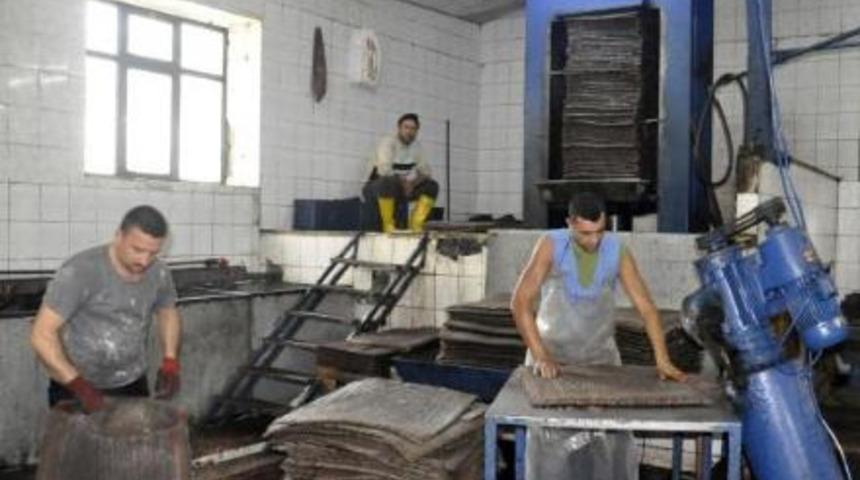 Bu da zeytin s&uuml;t&uuml;