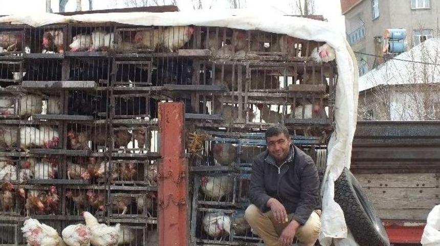 Malazgirt&rsquo;te Tavuk Satışları Başladı