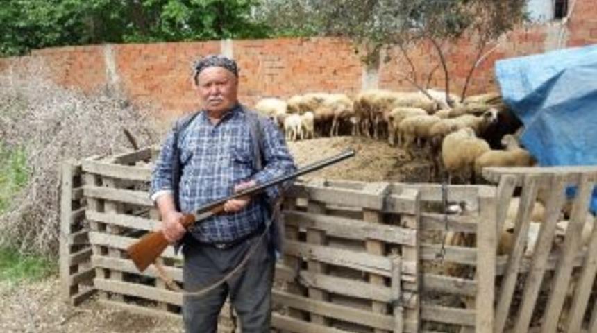 (&ouml;zel) İzmir&rsquo;de Eller Tetikte, K&ouml;yl&uuml;ler Canavar N&ouml;betinde