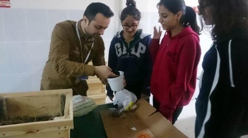 Kaliforniya Solucanları Kartal&rsquo;a Yayıldı