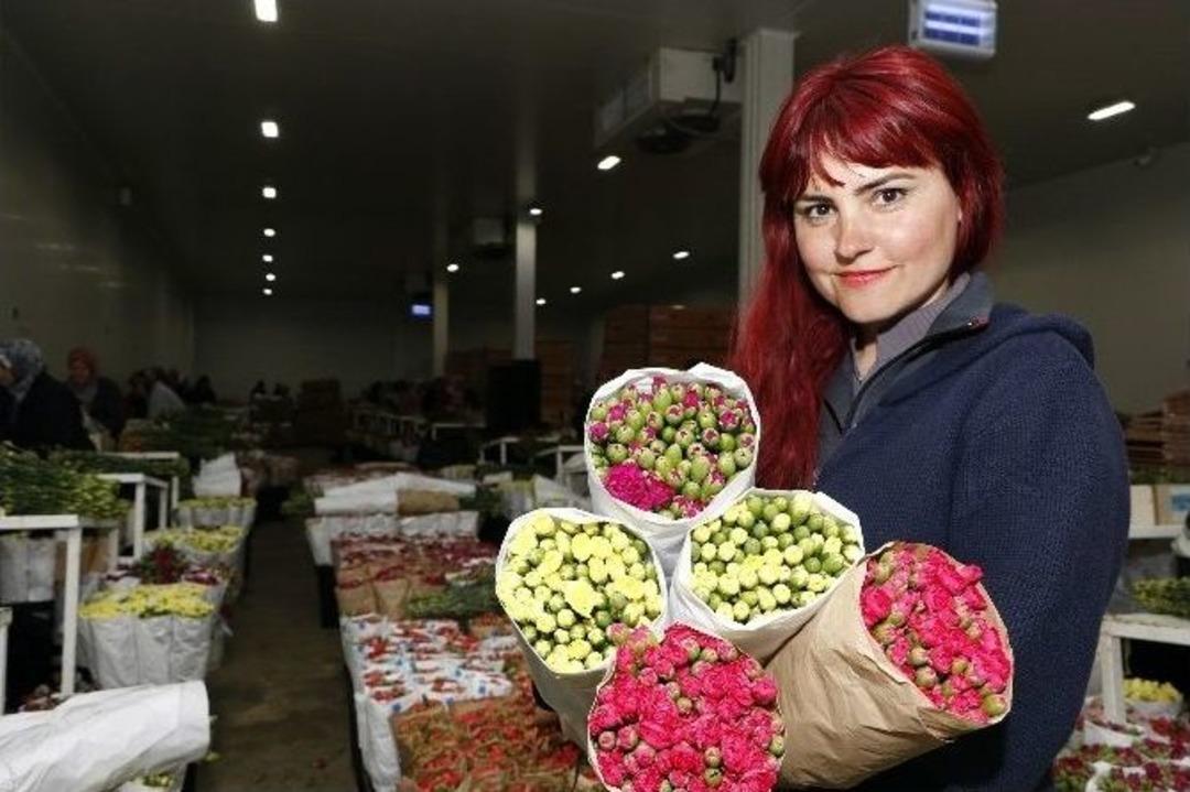 Kesme &Ccedil;i&ccedil;ek Sekt&ouml;r&uuml; Kriz Tanımadı