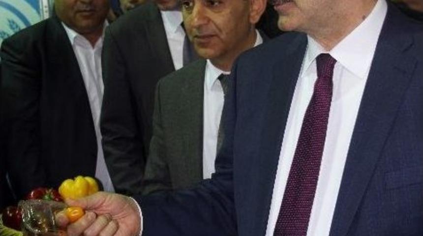 &Ccedil;elik: "rusya İle Yaşanan Sorun D&uuml;nyanın Sonu Değildir"