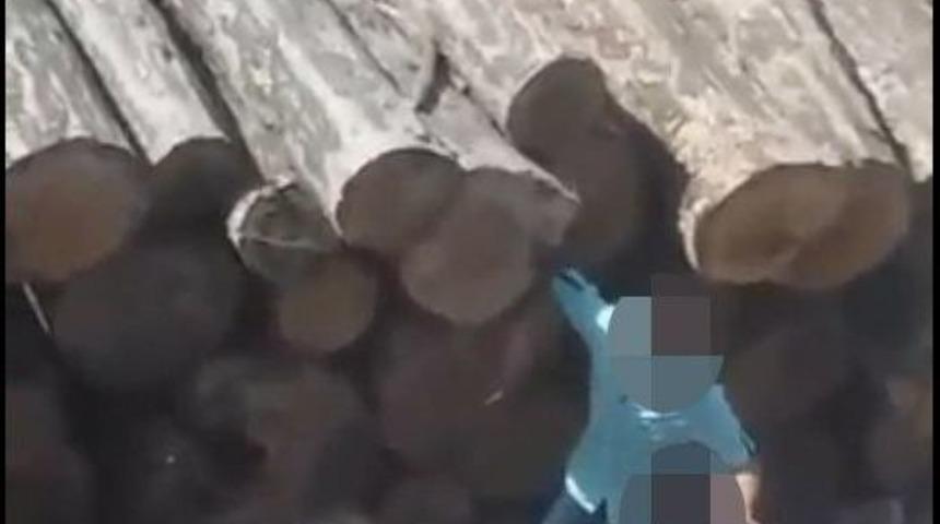 Gen&ccedil;lerden Tomruklar Arasında Uyuşturucu Partisi