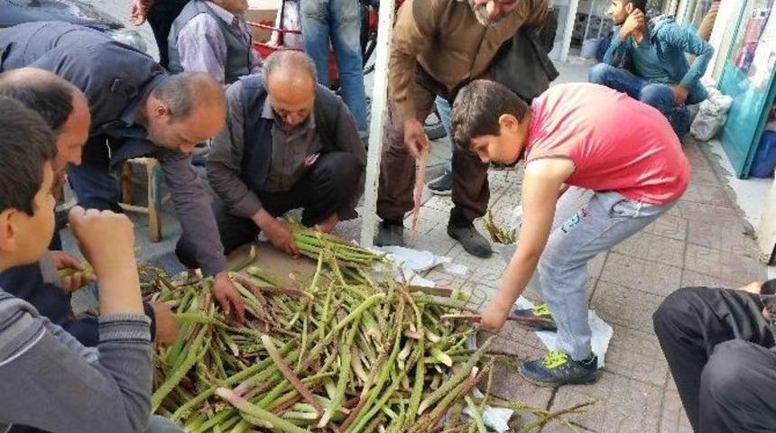 Uçkun Tezgahlardaki Yerini Aldı