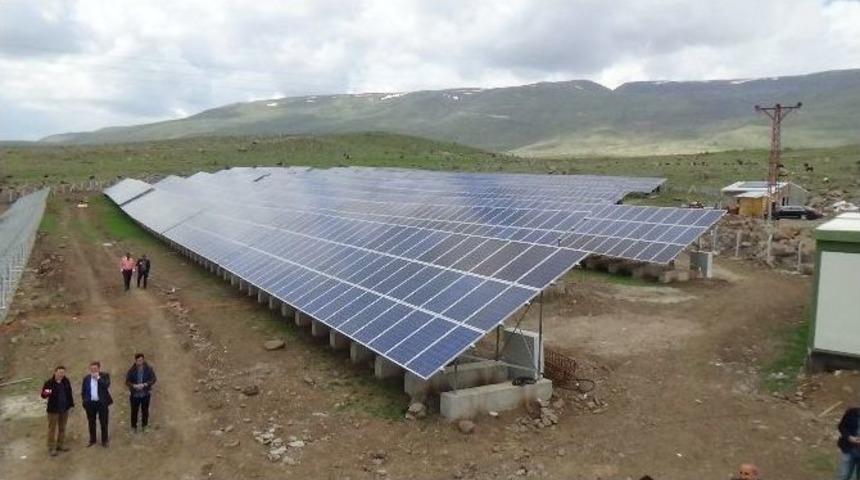 Dadaşlar &lsquo;sihirli Form&uuml;le&rsquo; Talip Oldu