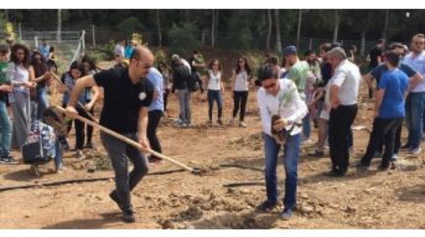 &Ccedil;mo&rsquo;dan Fidan Dikim Etkinliği