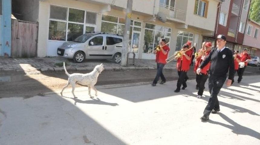 Bandoya Eşlik Eden K&ouml;pek