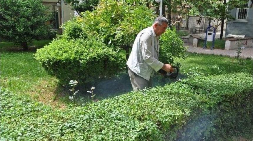Peyzaj &Ccedil;alışmaları Devam Ediyor
