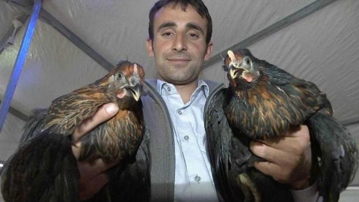 Yumurta &Uuml;reticiliği Projesi
