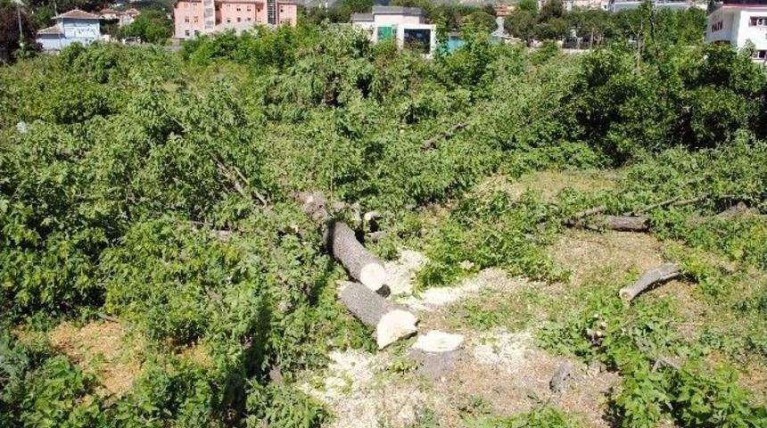 Amasya&rsquo;da Parka Akaryakıt İstasyonu Davasında Karar
