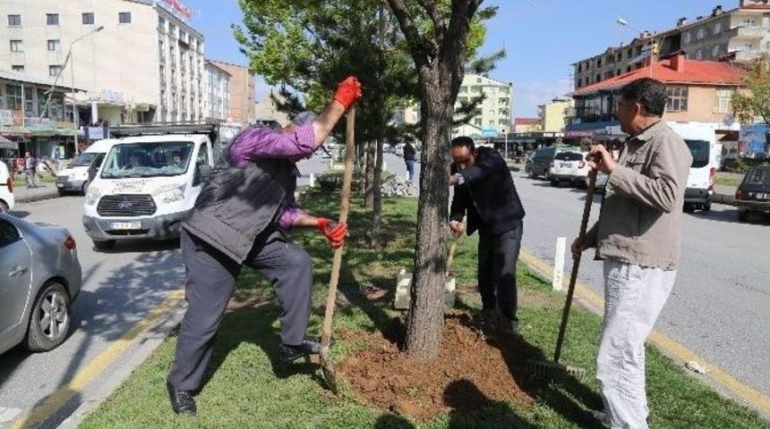 G&uuml;roymak Belediyesi&rsquo;nden Hummalı &Ccedil;alışma