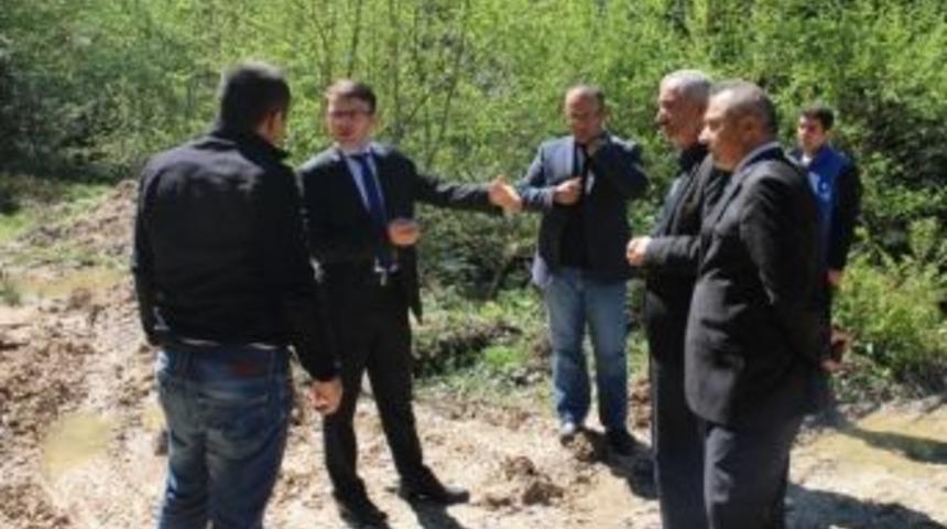 Yığılca Kaymakamı Ormanda İncelemelerde Bulundu