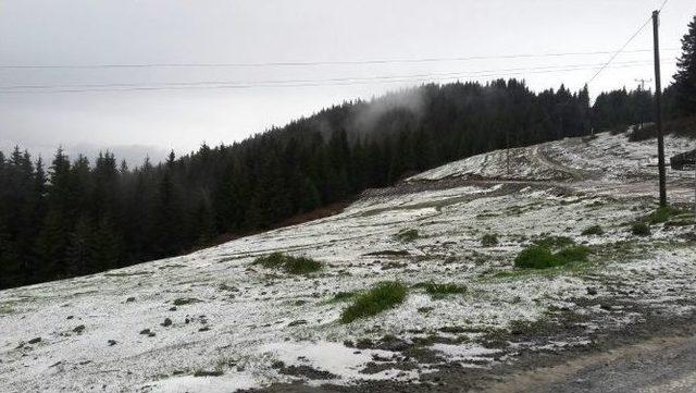 Ordu&rsquo;nun Yaylaları Mayıs&rsquo;ta Beyaza B&uuml;r&uuml;nd&uuml; 1