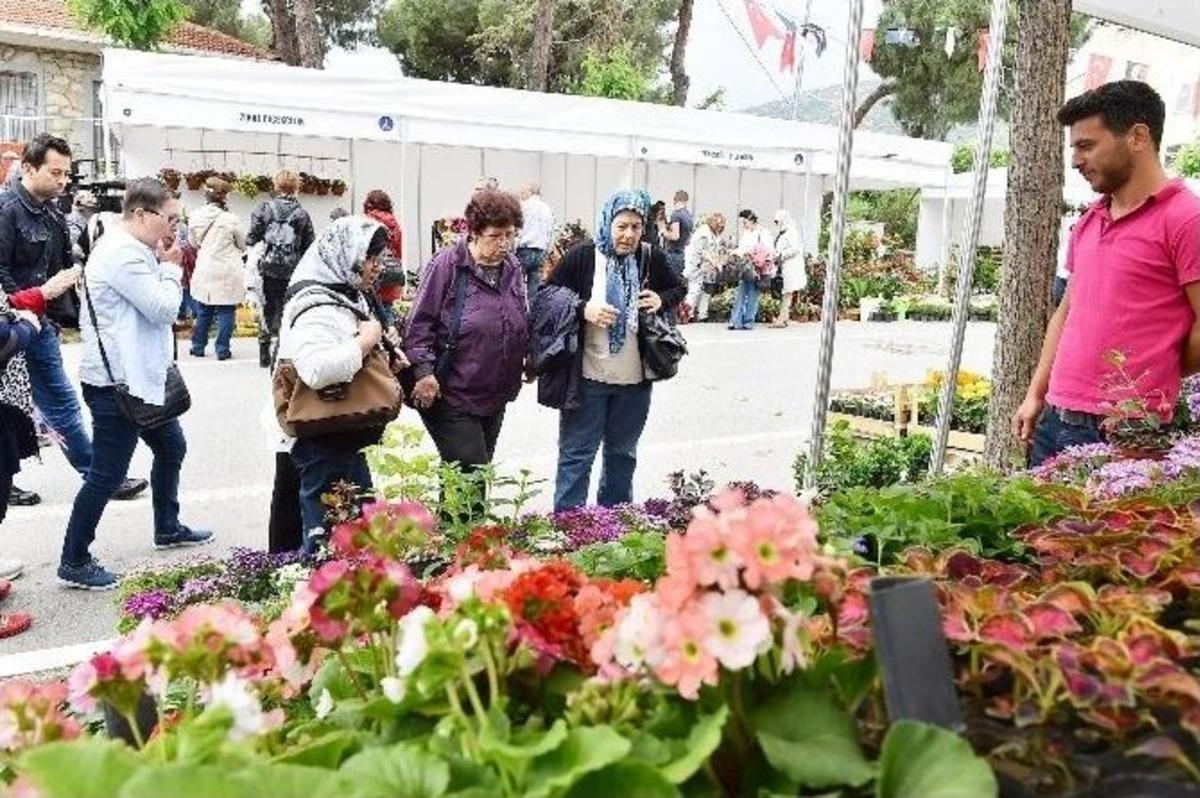 Bayındır &Ccedil;i&ccedil;ek A&ccedil;tı