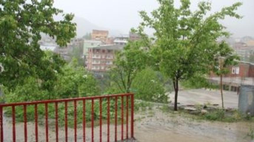 Hakkari&rsquo;de Etkili Olan Dolu Bah&ccedil;elere Zarar Verdi