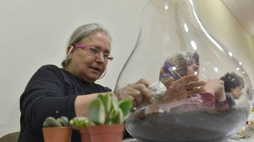 Fanuslar Çiçek Açtı