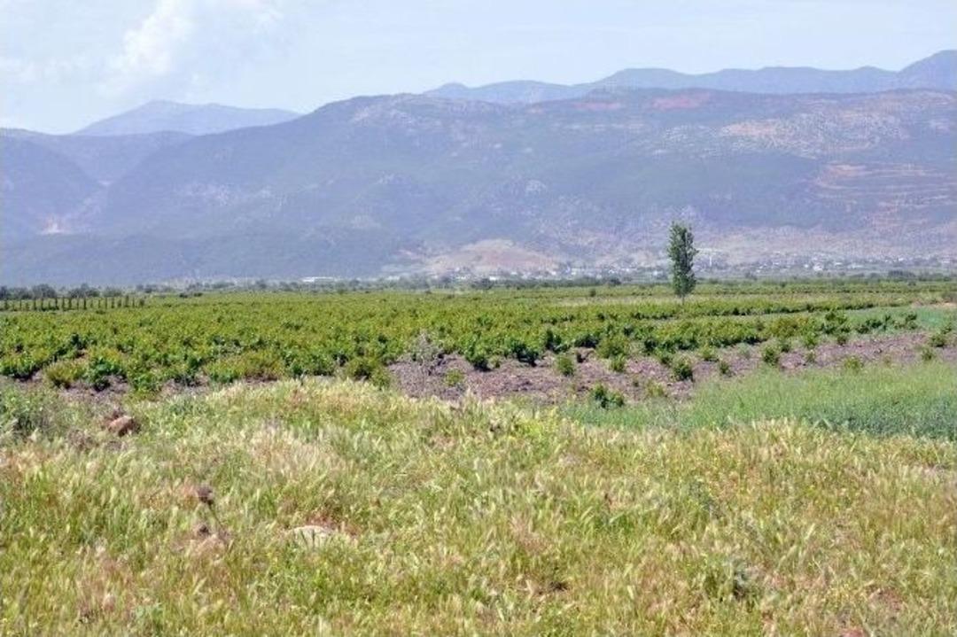 (&ouml;zel Haber) &Ccedil;ift&ccedil;inin &rsquo;elektrik&rsquo; Tepkisi