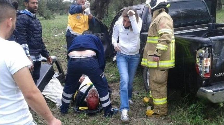 Zeytin Ağacına &Ccedil;arpan S&uuml;r&uuml;c&uuml; Yaralandı