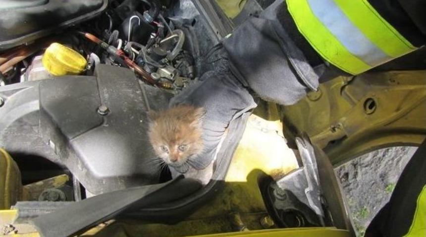 Otomobilin Motor Kısmına Sıkışan Kediyi İtfaiye Kurtardı