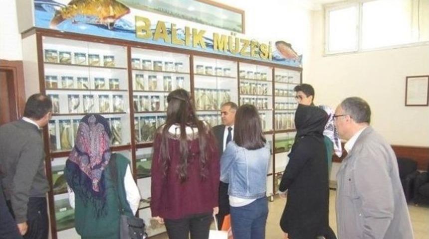 &Ouml;ğrenciler Balık M&uuml;zesini Gezdi