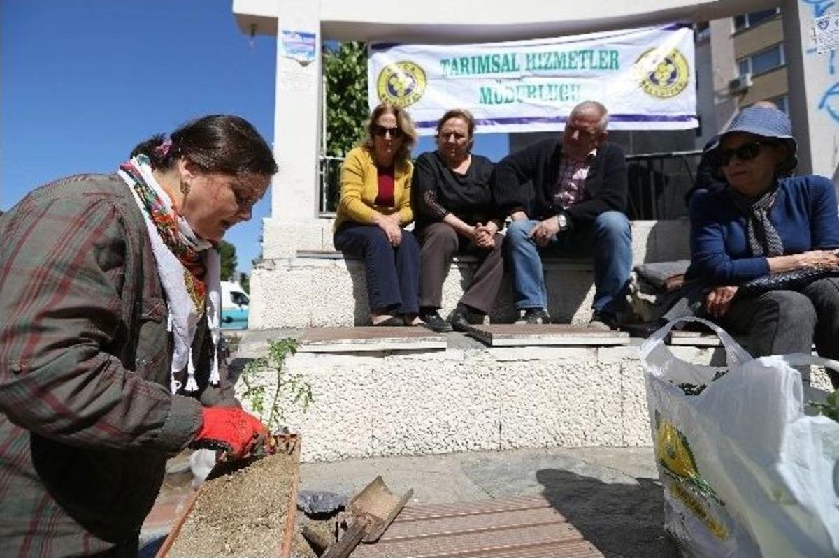 Buca&rsquo;da Tarım Balkonlara Taşıyor