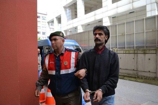 Pkk Üyesi 4 Kişi Kocaeli’de Yakalandı