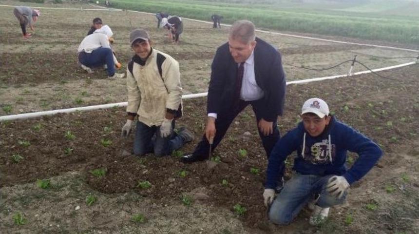 Kaymakam Seyitoğlu Suriyeli İş&ccedil;ileri Ziyaret Etti