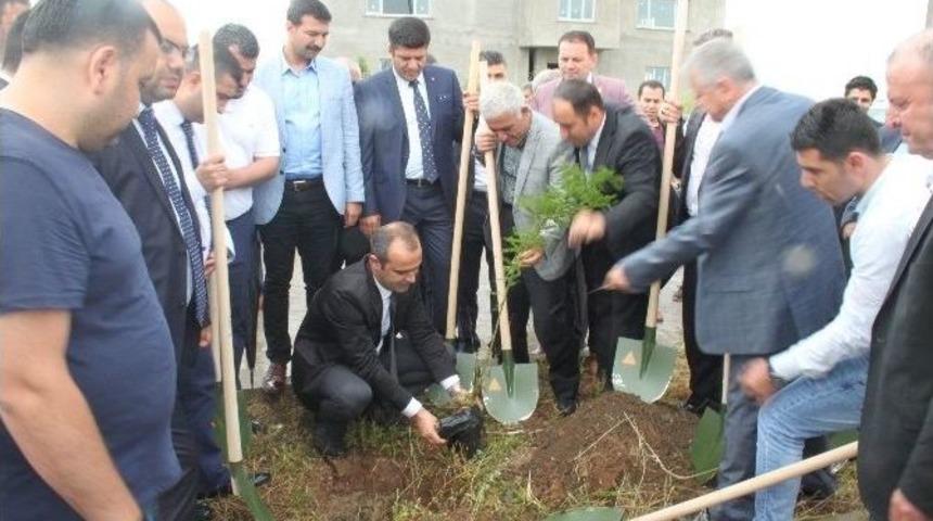 Cizre&rsquo;de 2 Bin Fidan Toprakla Buluştu