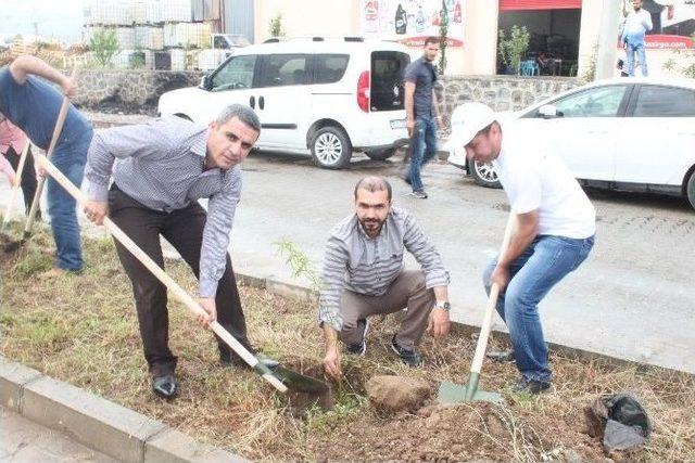 Cizre&rsquo;de 2 Bin Fidan Toprakla Buluştu 2