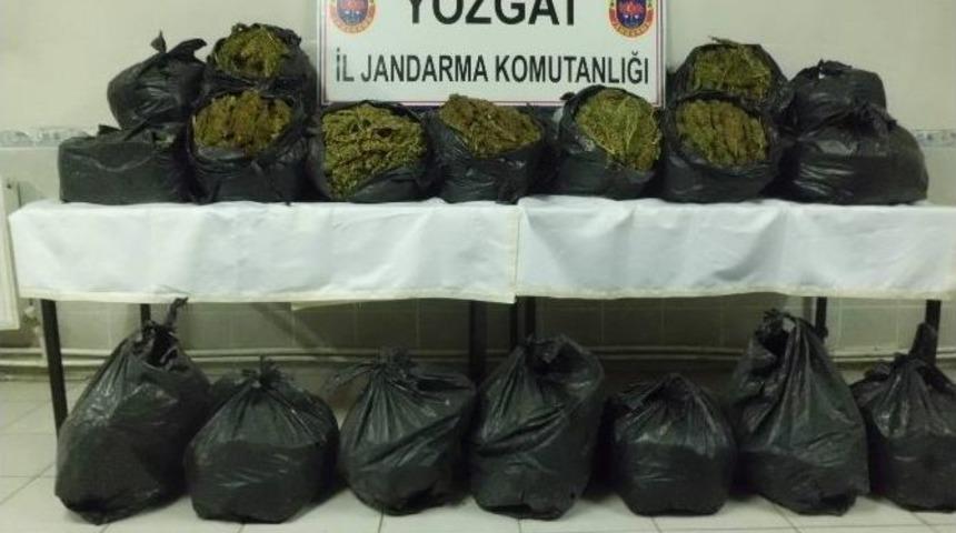 Yozgat Jandarma 100 Kilo Esrar Ele Ge&ccedil;irdi