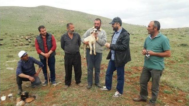 Yetiştiricilerin Mera Sorunu &Ccedil;&ouml;z&uuml;m Bekliyor 1