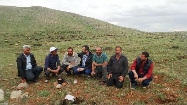 Yetiştiricilerin Mera Sorunu &Ccedil;&ouml;z&uuml;m Bekliyor 2