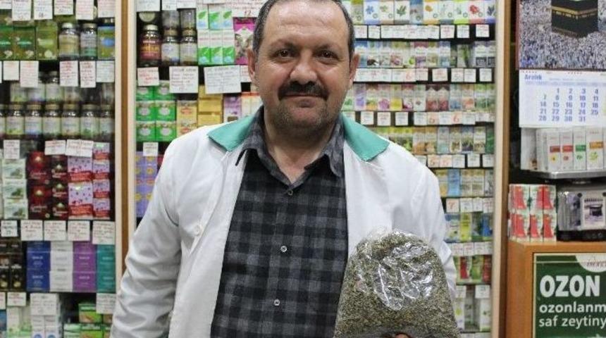 Stresin İlacı &rsquo;melissa Otu&rsquo;