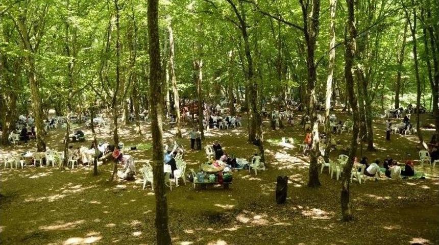 Bağcılar İ&ccedil;in Piknik Vakti