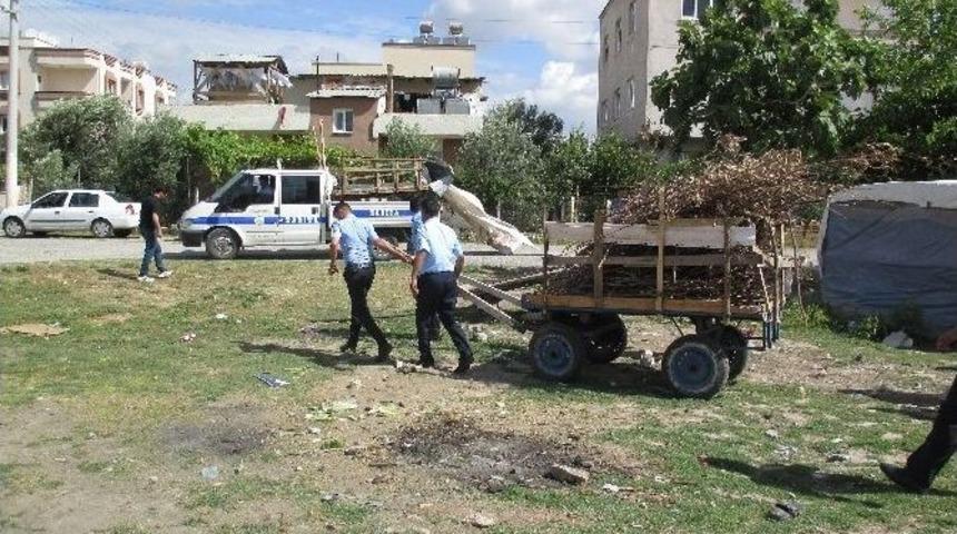 Tarsus Zabıtası At Arabalarını Topladı