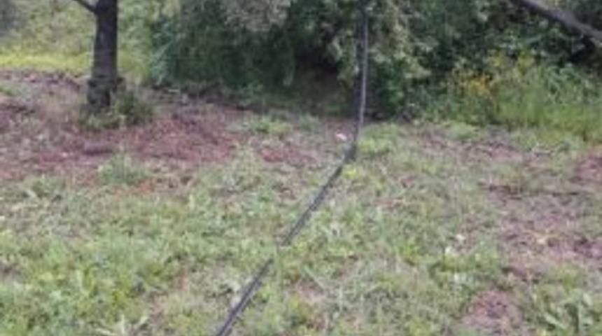 Telefon Kablolarını &Ccedil;aldılar