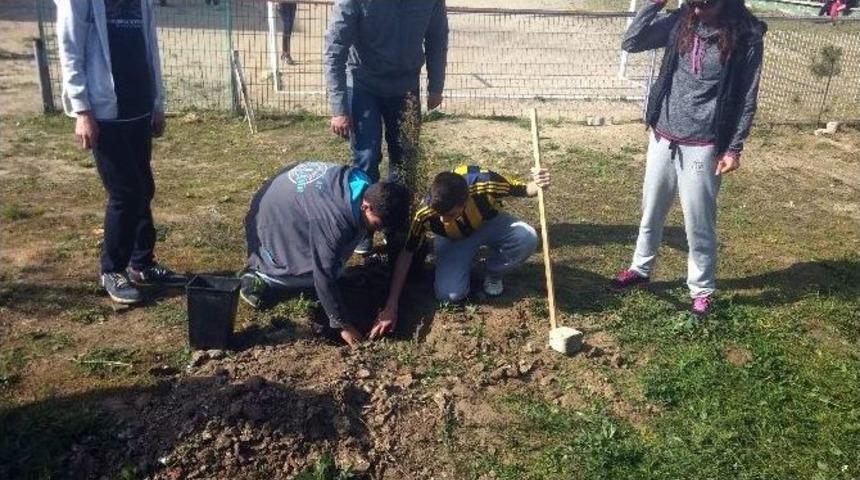 Temiz &Ccedil;evrem Yeşil Okul Etkinliği